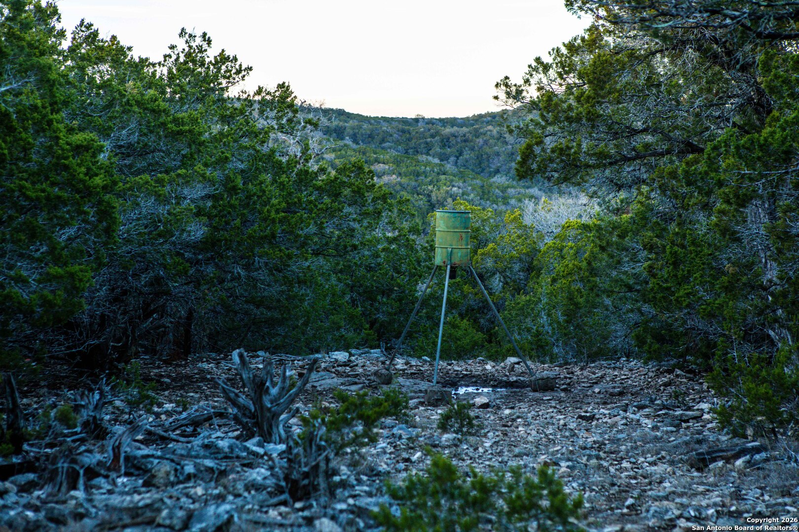 main property photo 18