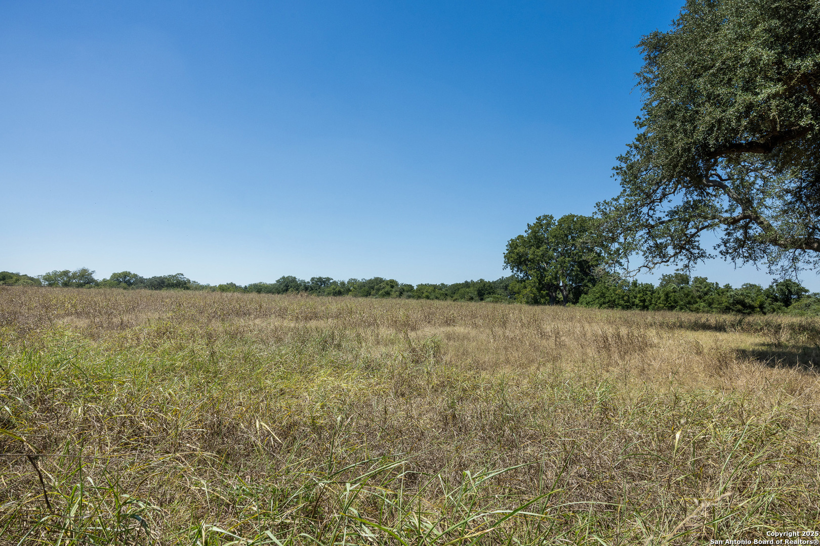 main property photo 66