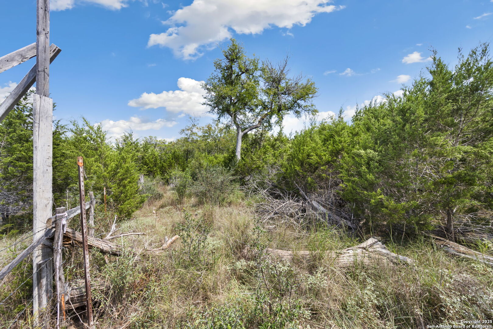 main property photo 15