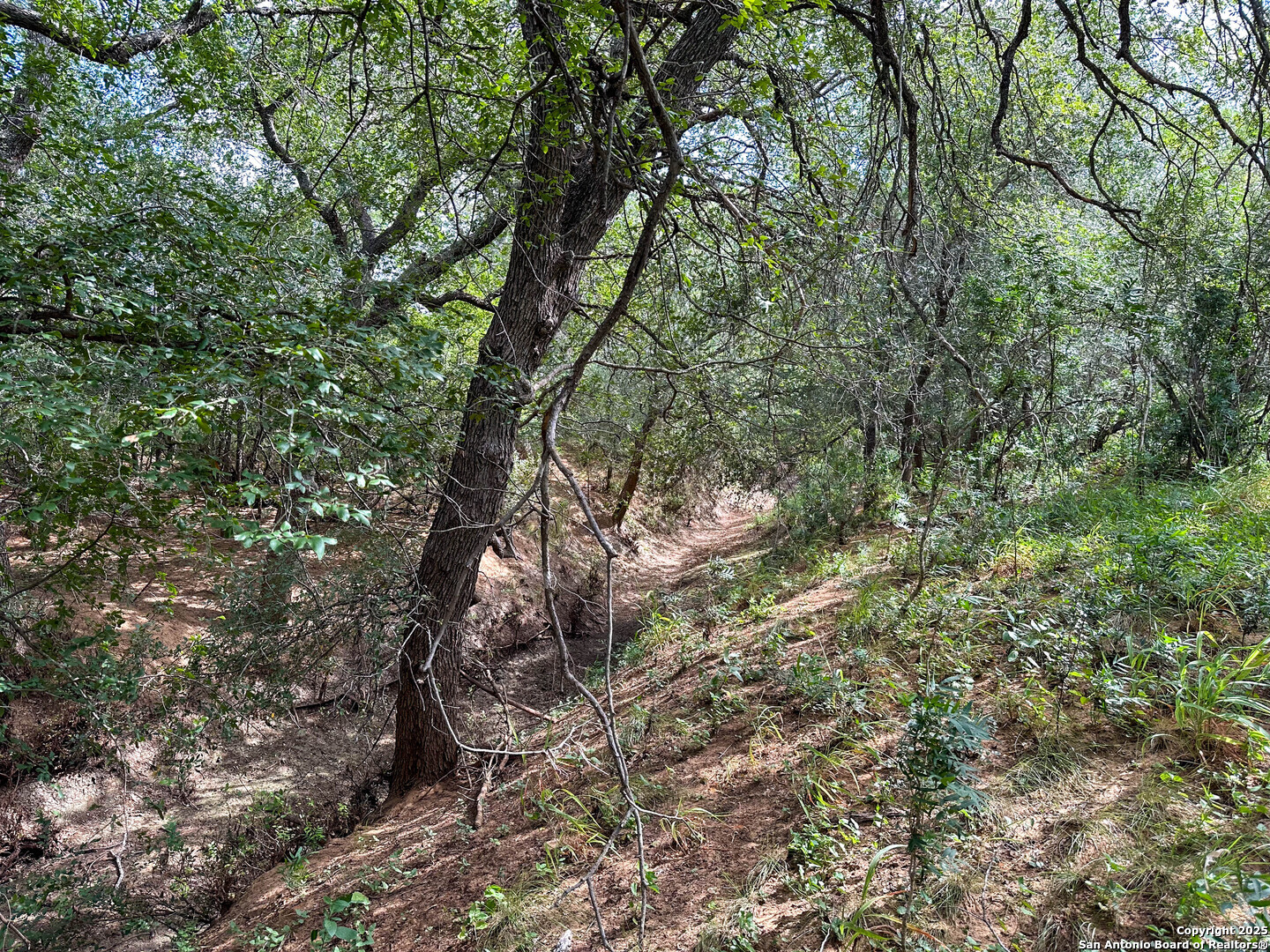 main property photo 44