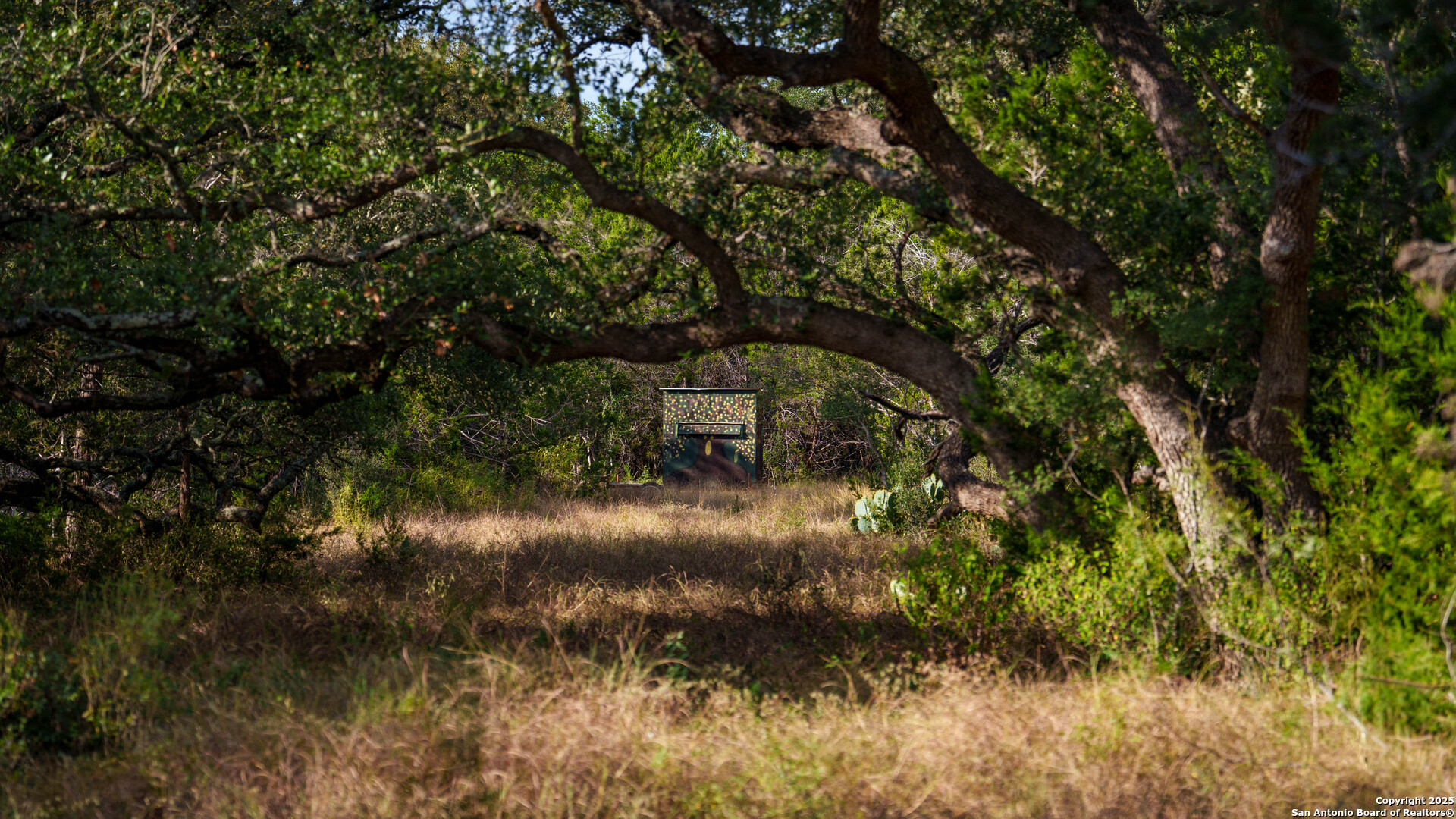 property viewer photo 1
