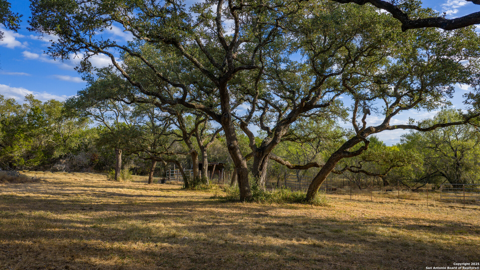 property viewer photo 31
