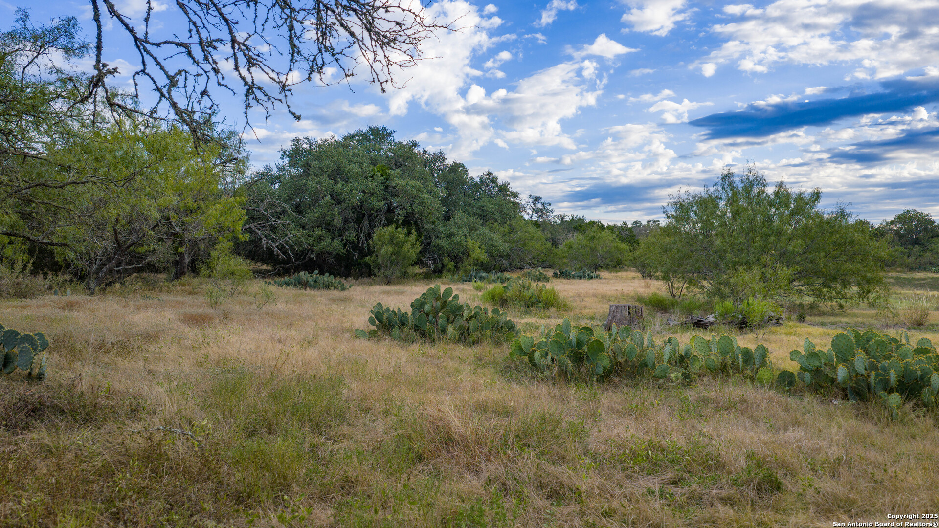 property viewer photo 7