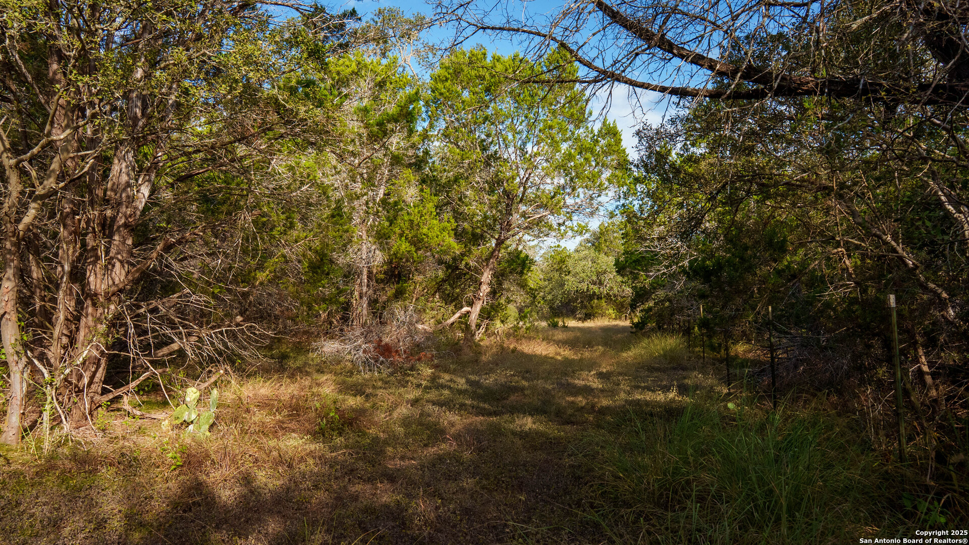 property viewer photo 8