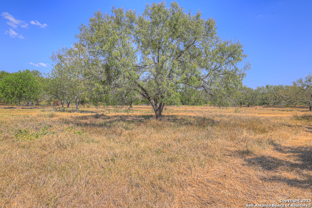 main property photo 47