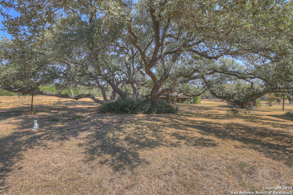 main property photo 48