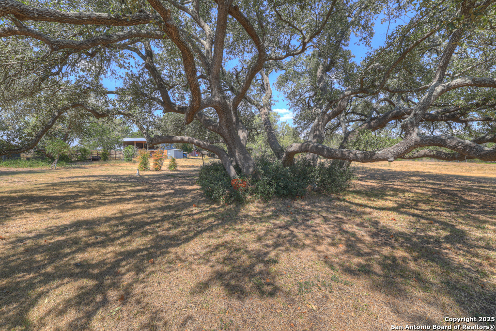 main property photo 49