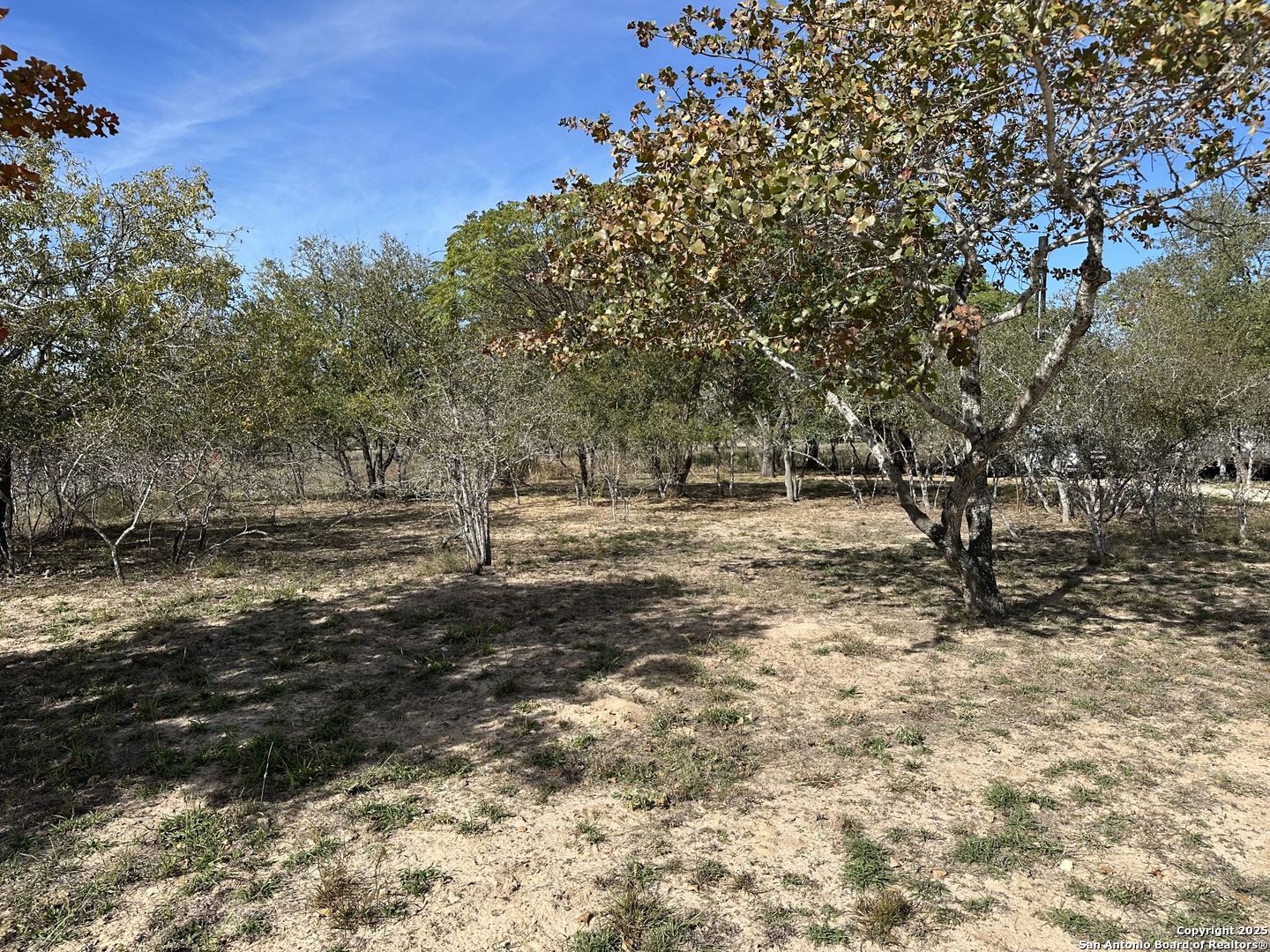 main property photo 12