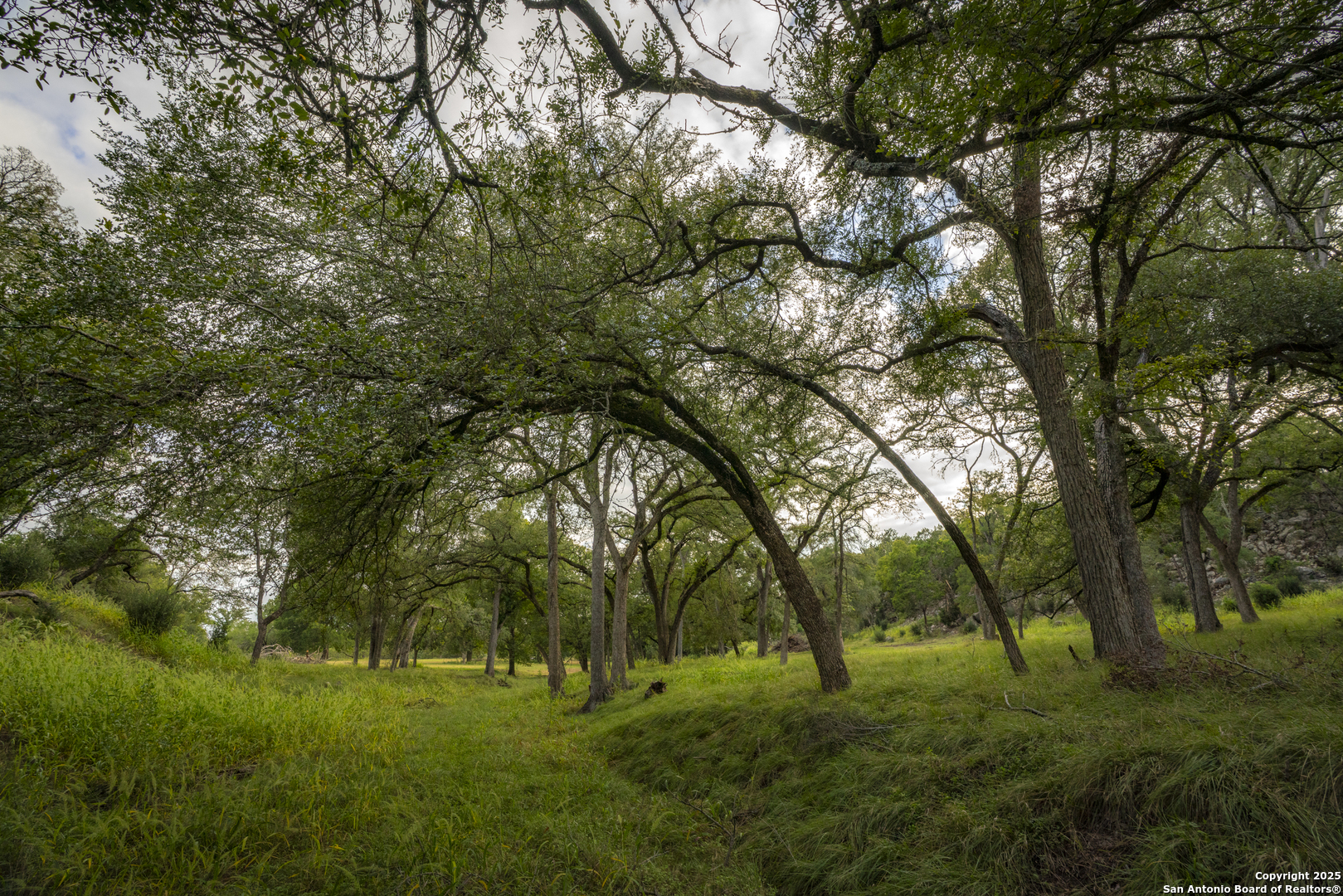 main property photo 35