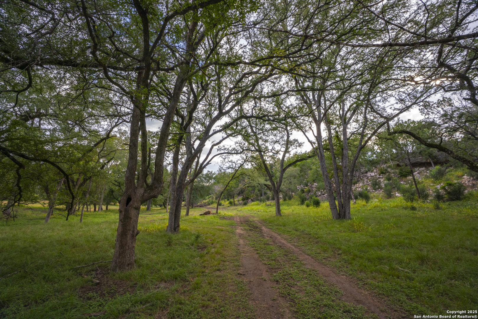main property photo 37