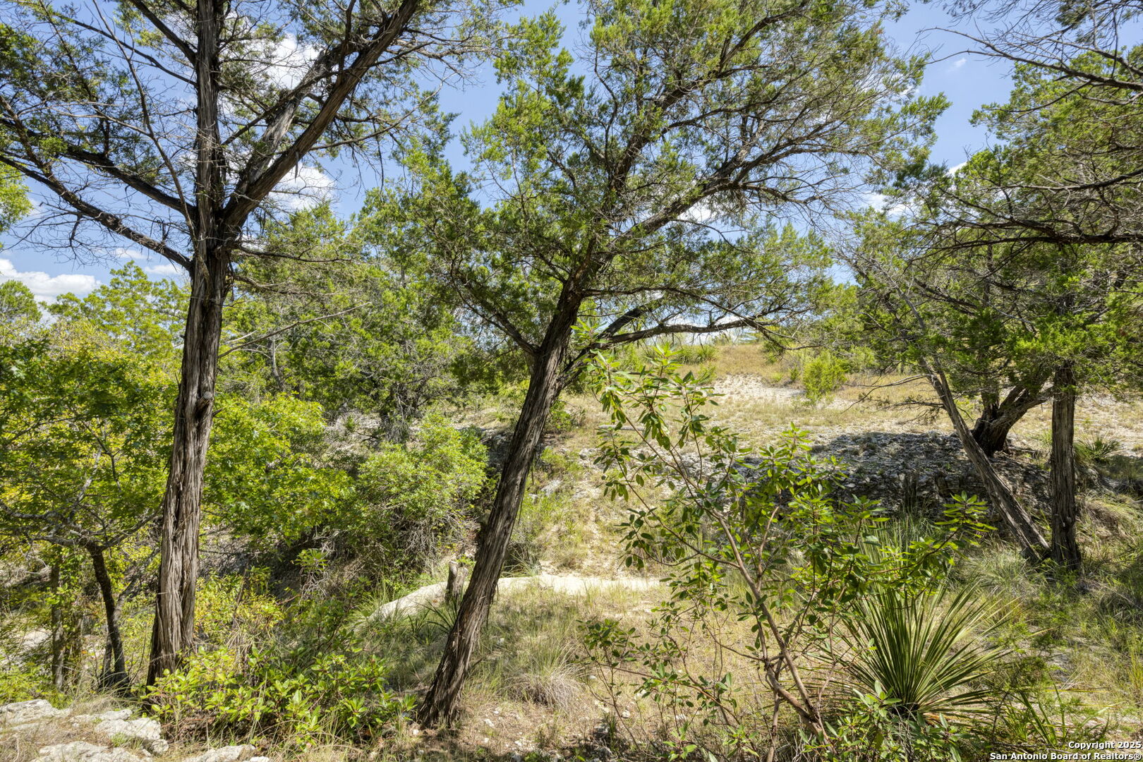 main property photo 56