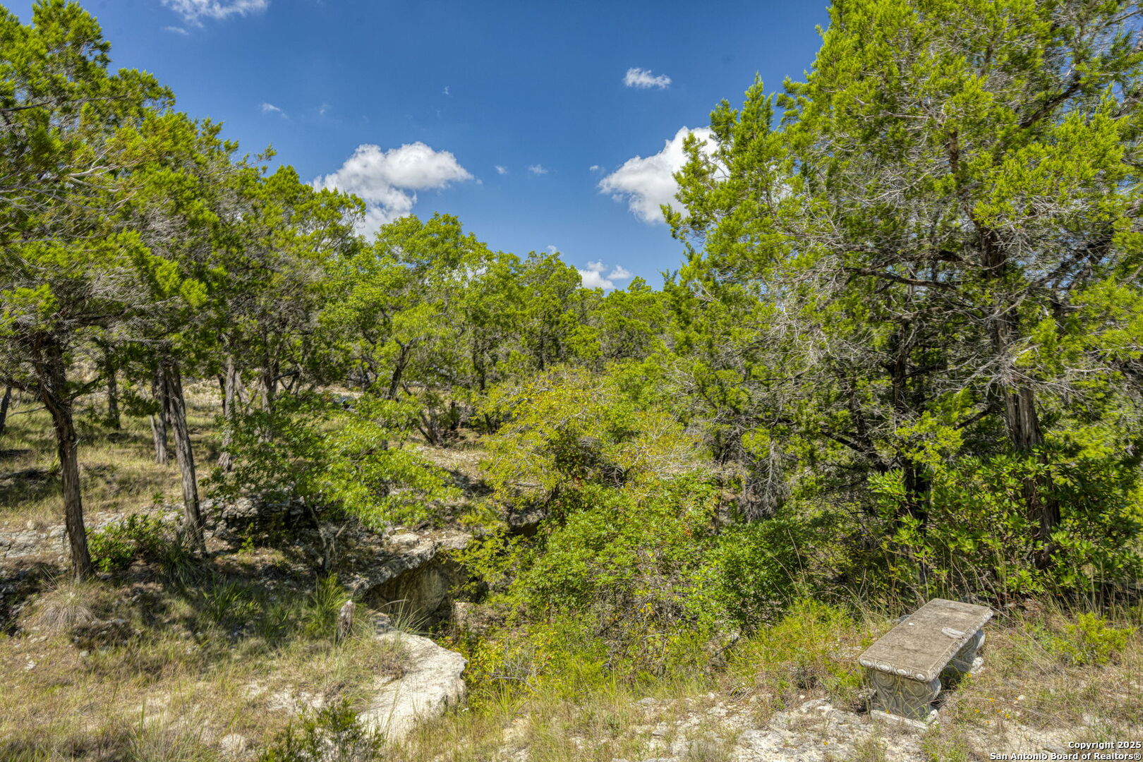 main property photo 57