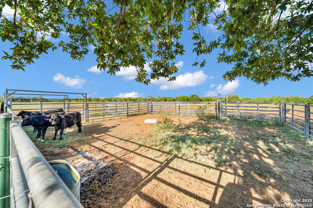 main property photo 37