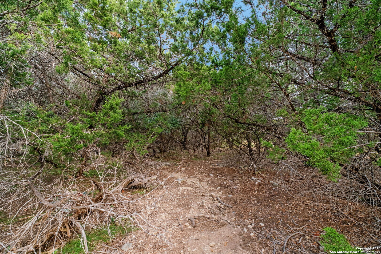 main property photo 13