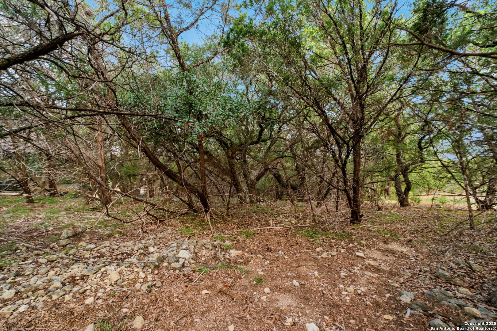 main property photo 14