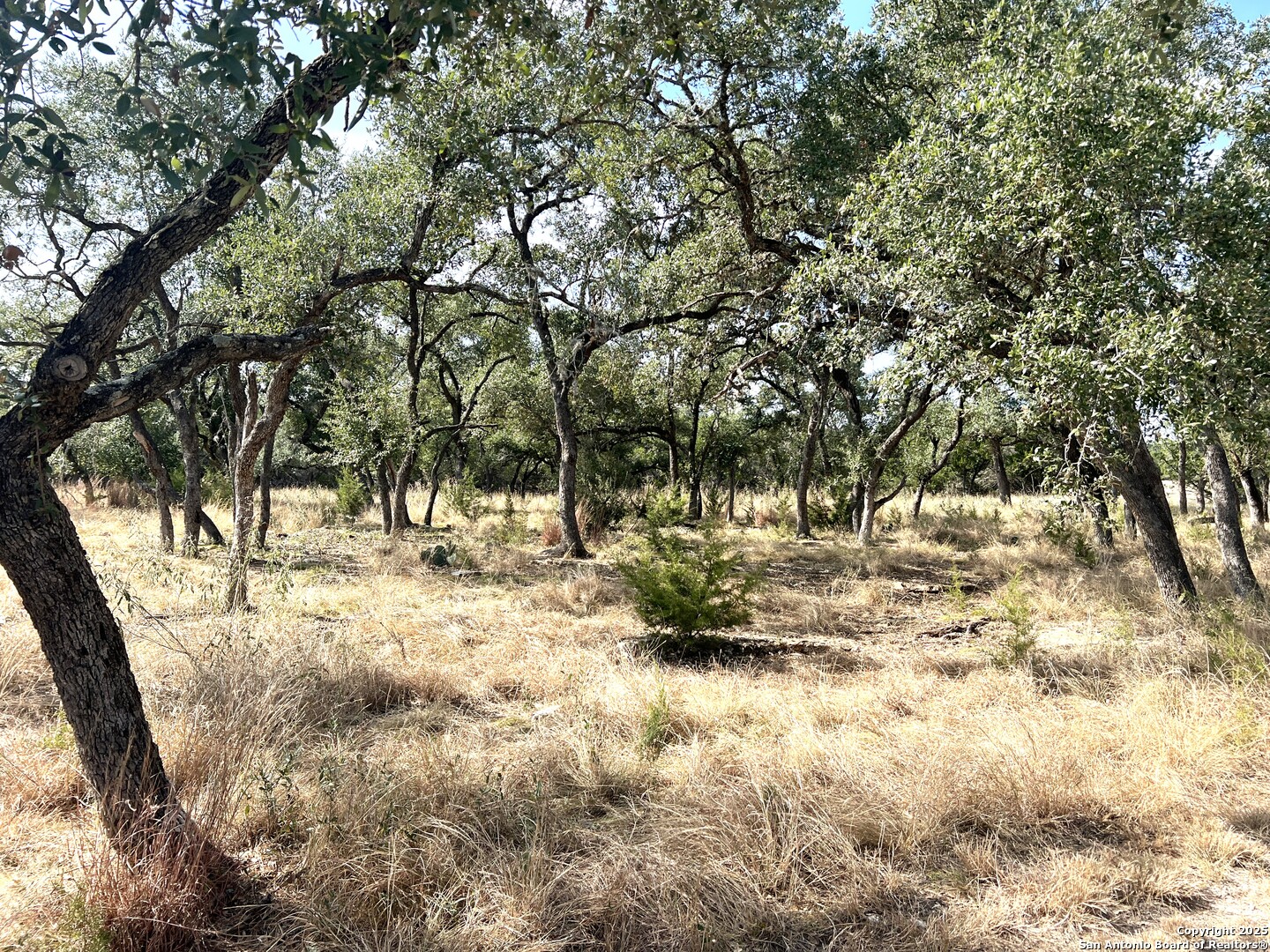 main property photo 100
