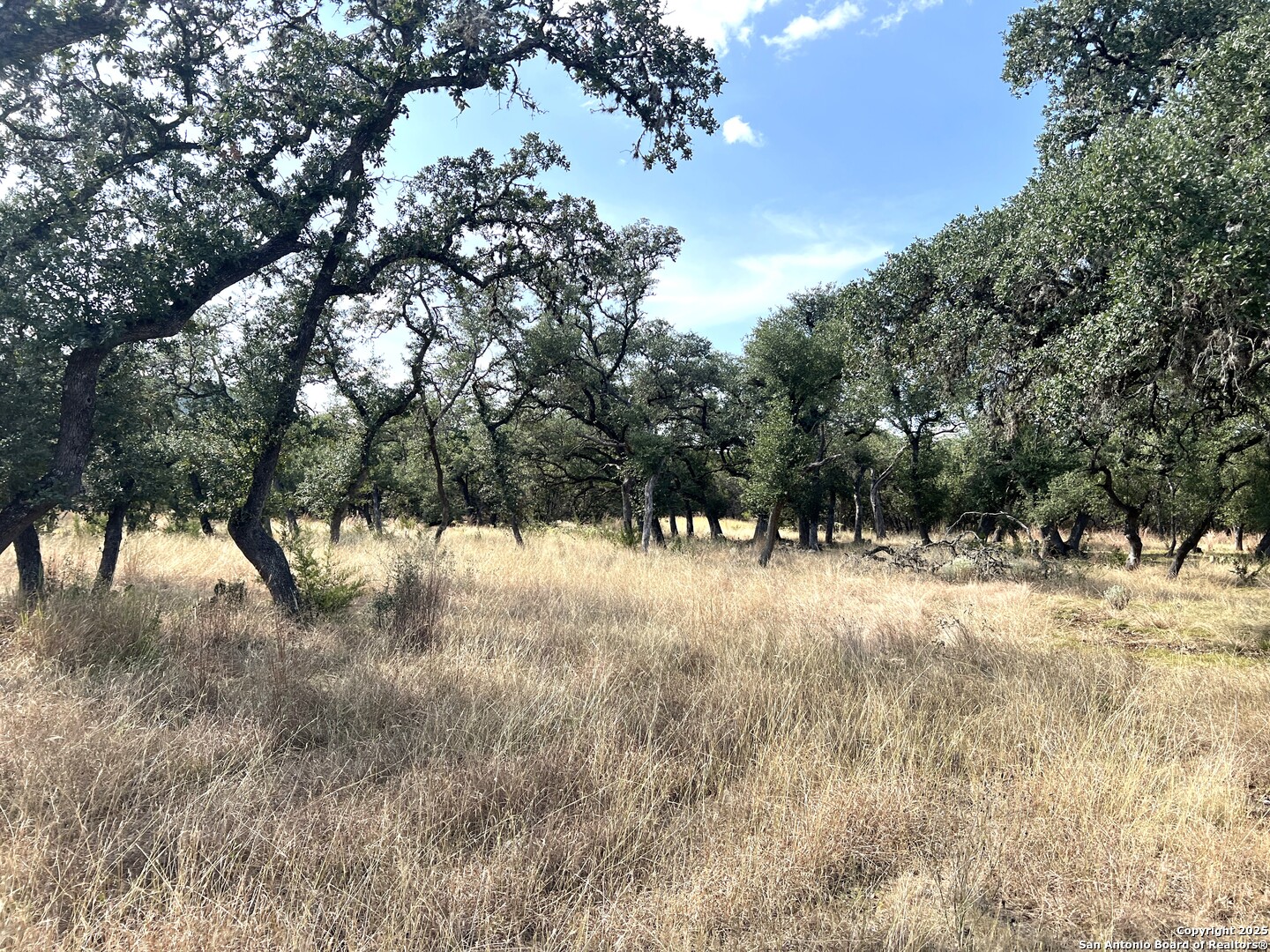 main property photo 74