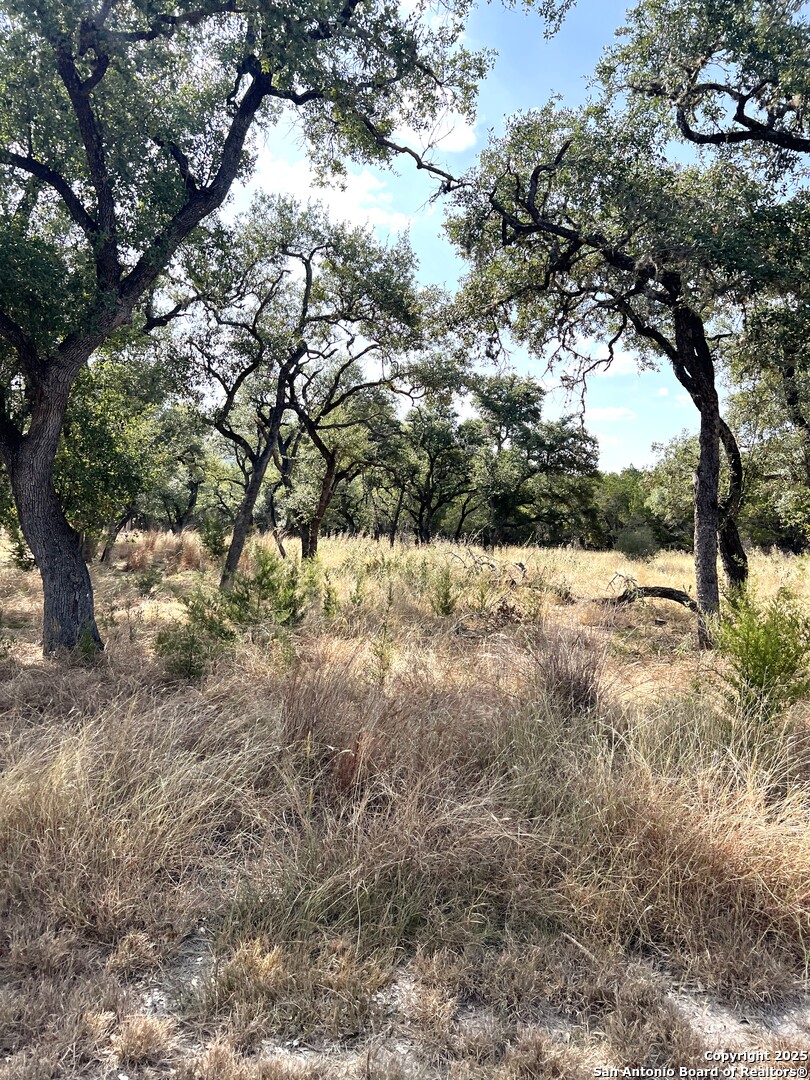 main property photo 80