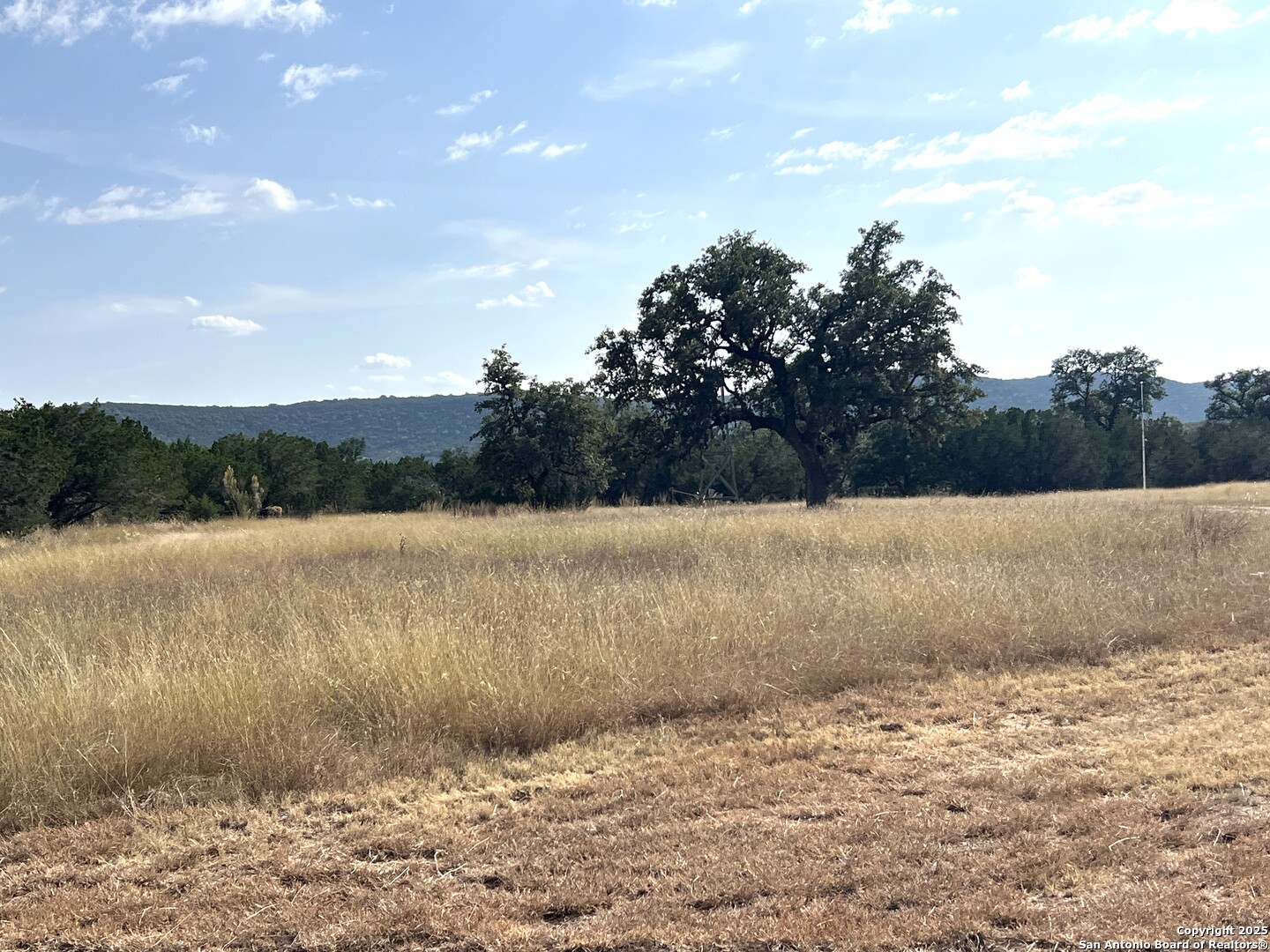 main property photo 86