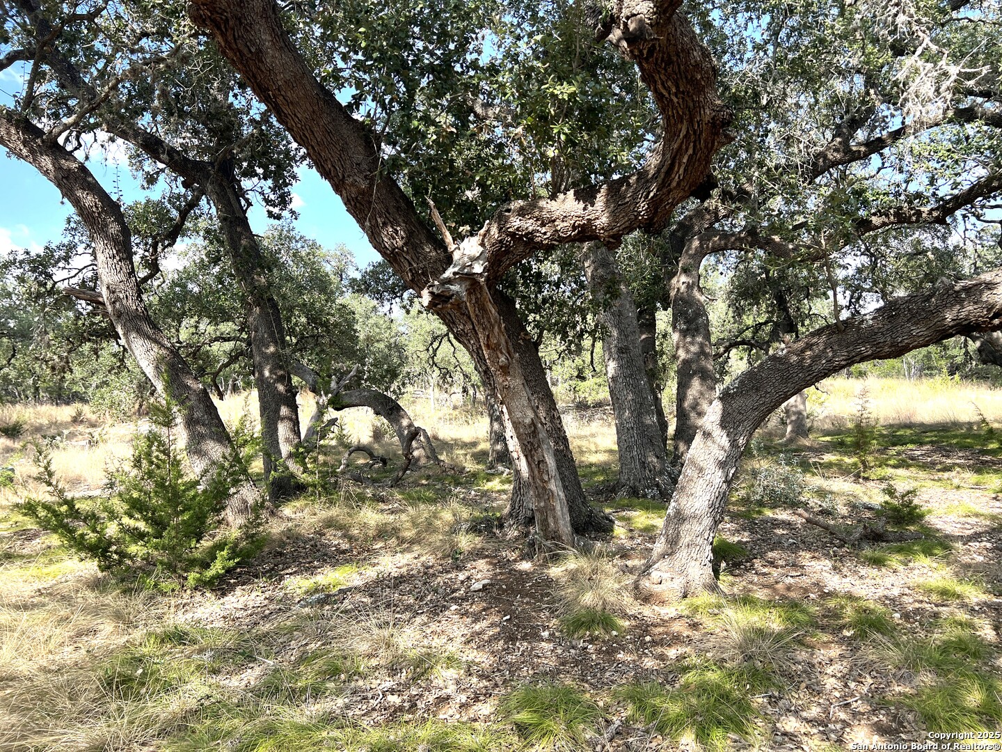 main property photo 99