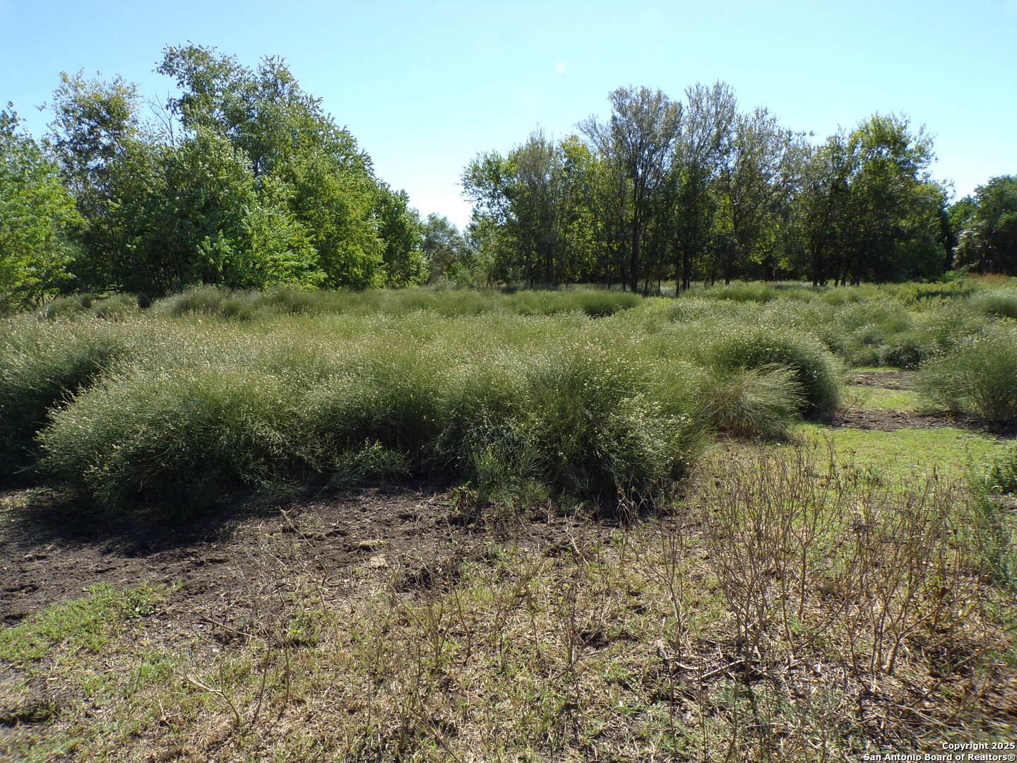 main property photo 8