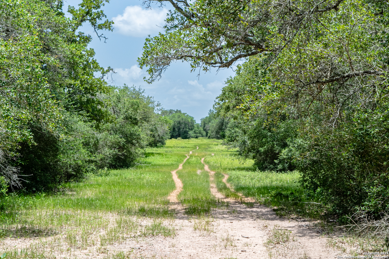 main property photo 13