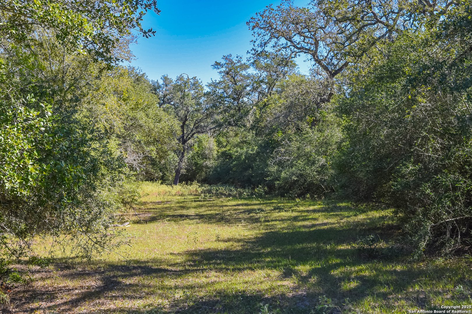 main property photo 22