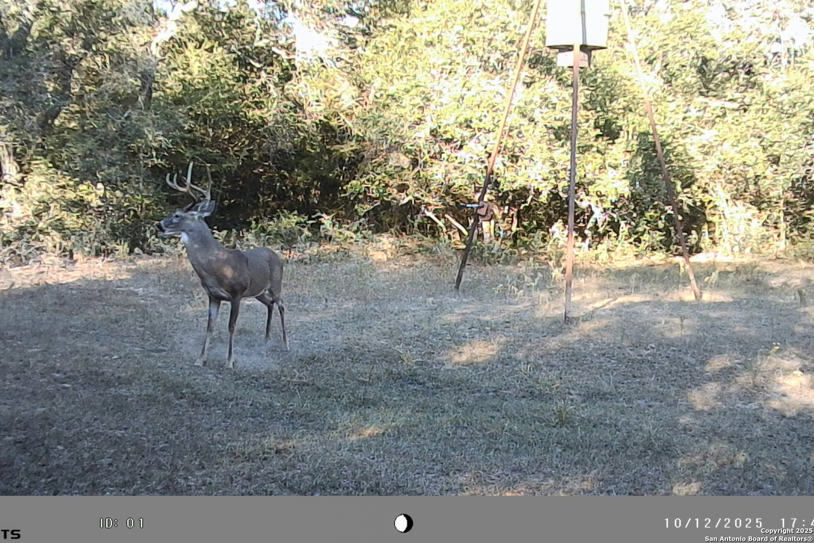 main property photo 47