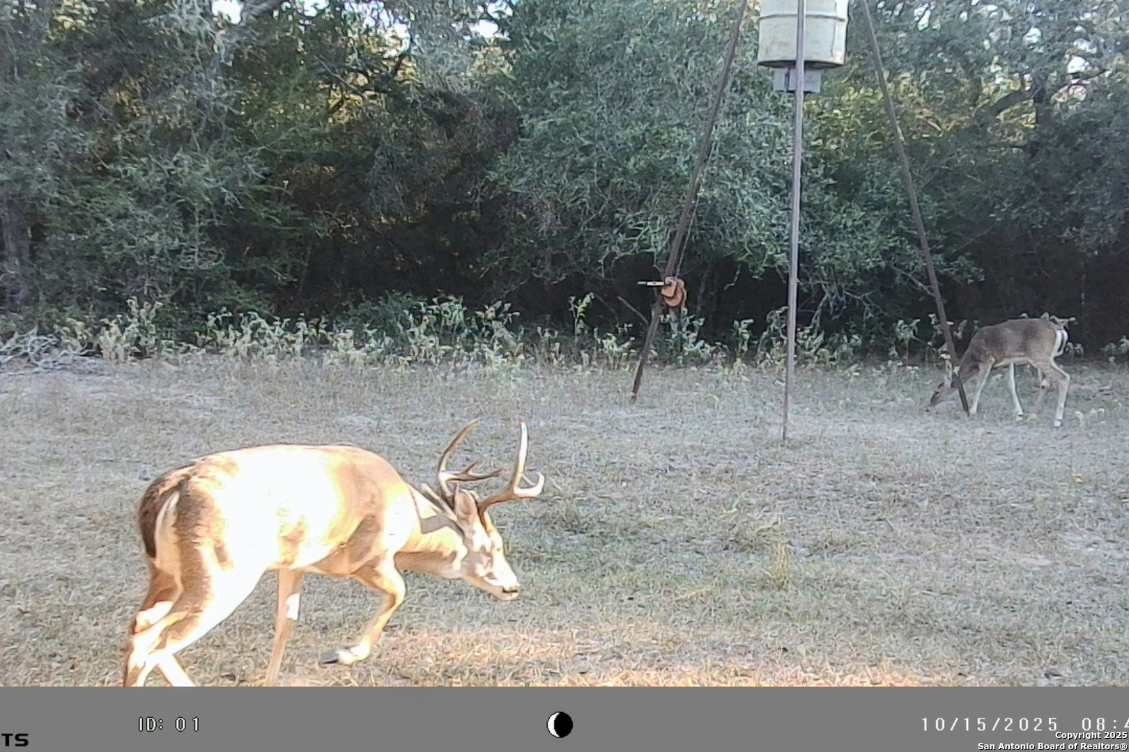 main property photo 50