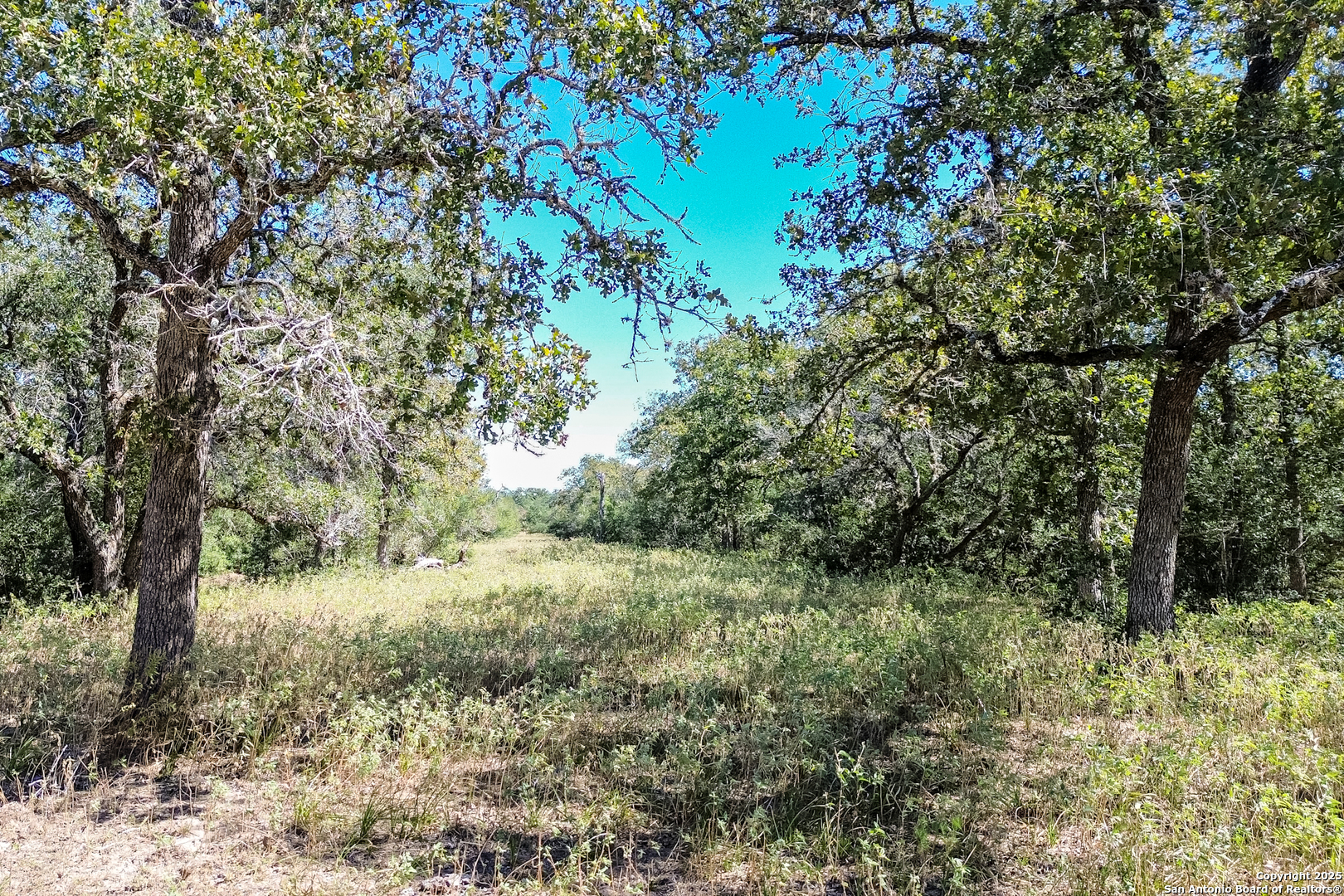main property photo 54