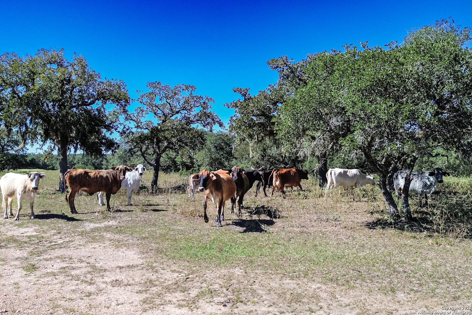 main property photo 62