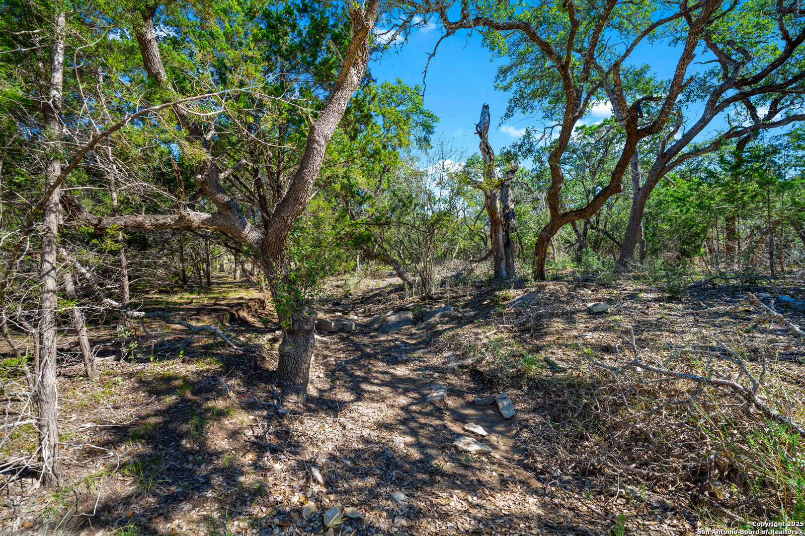 main property photo 14