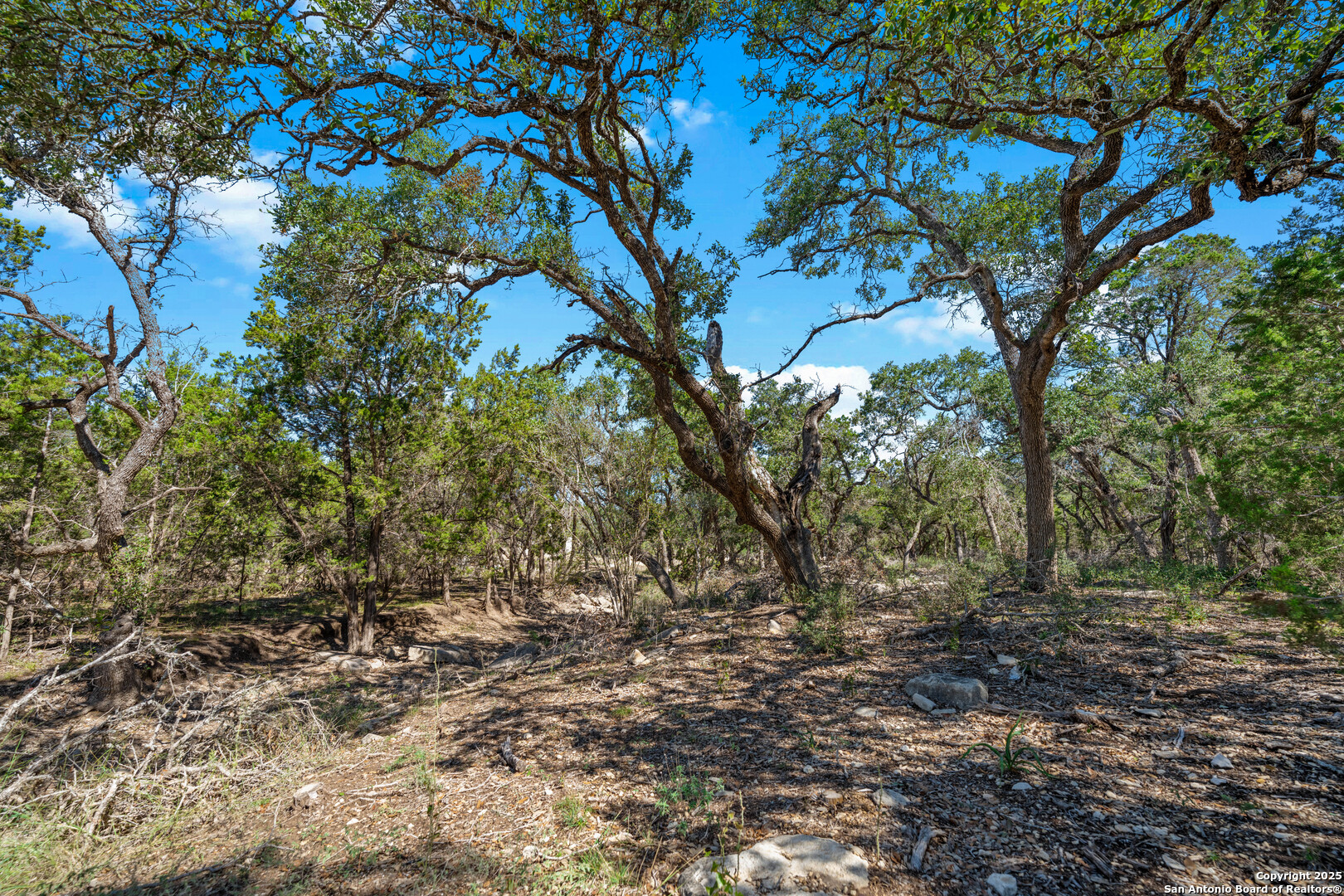main property photo 9