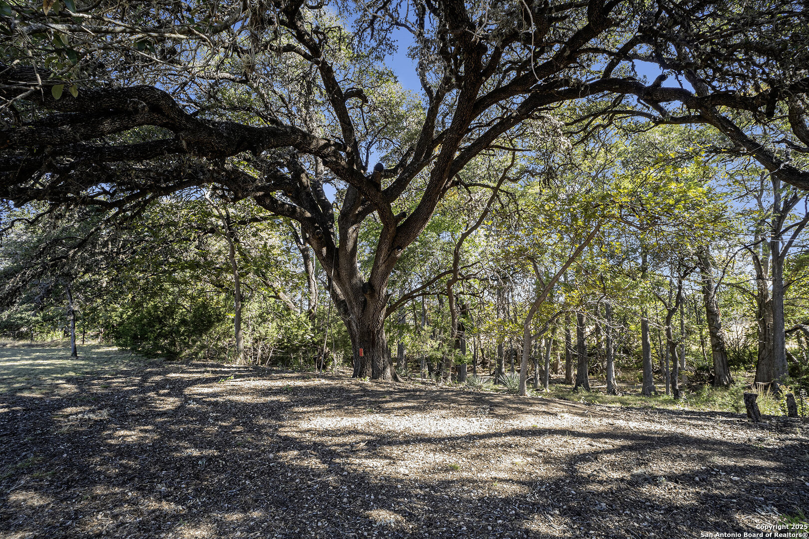 main property photo 31