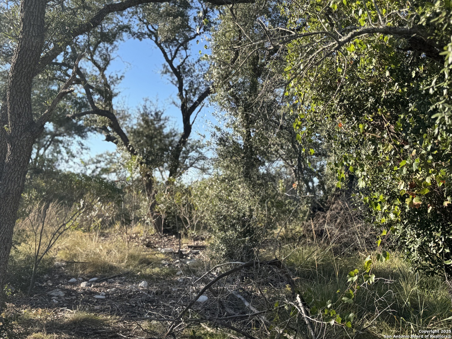 main property photo 13
