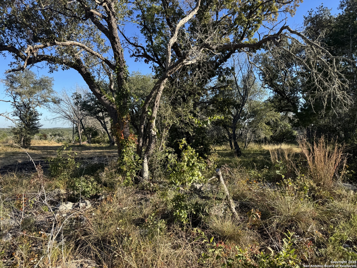 main property photo 21