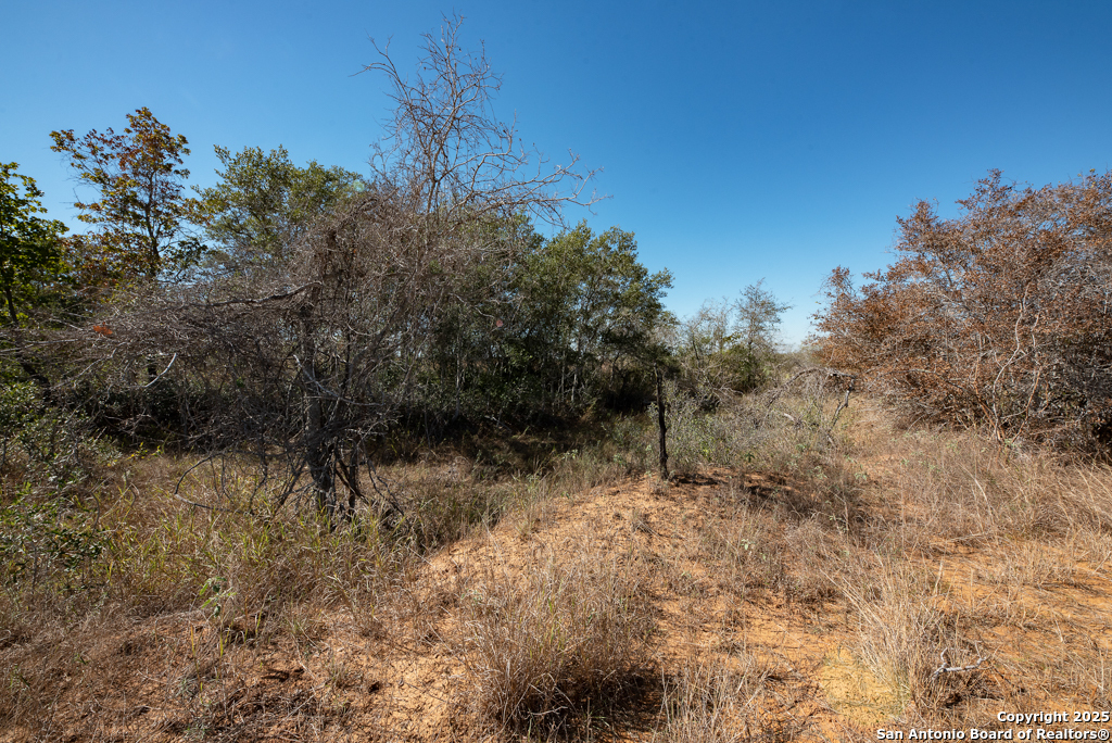 main property photo 20