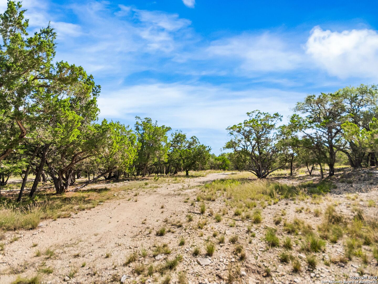 main property photo 57