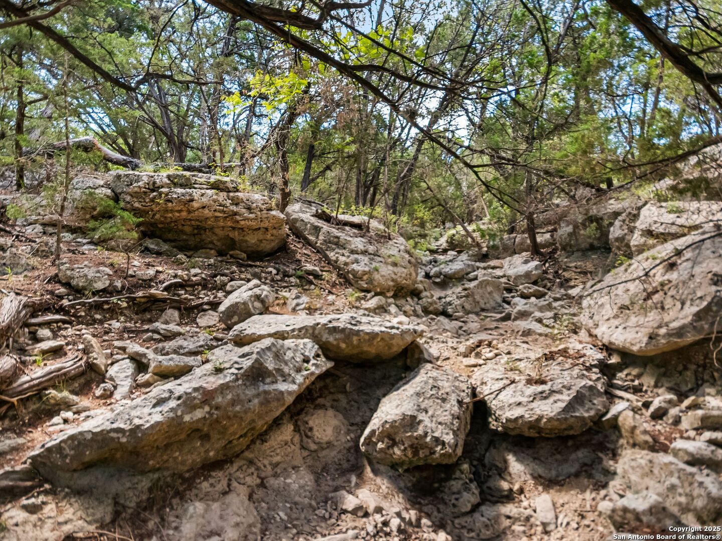 main property photo 69