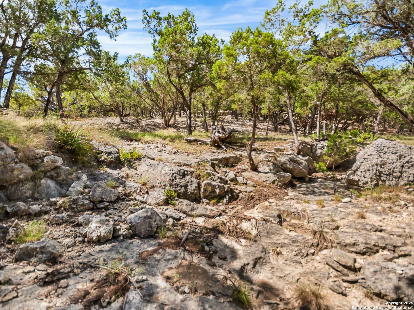 main property photo 70