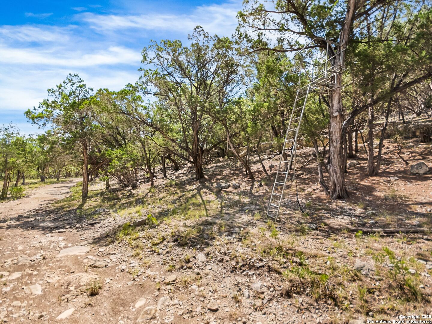 main property photo 74