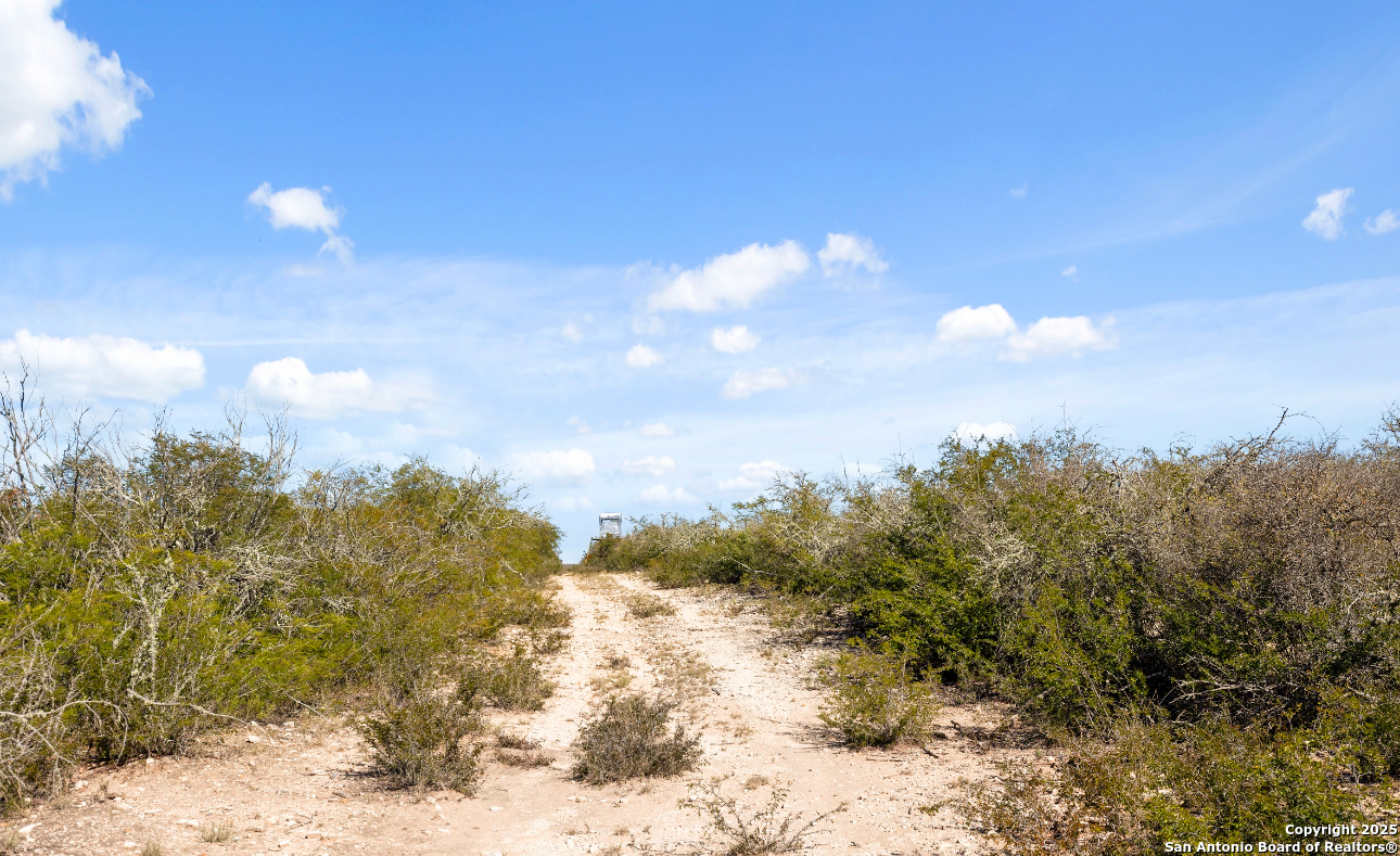 main property photo 40
