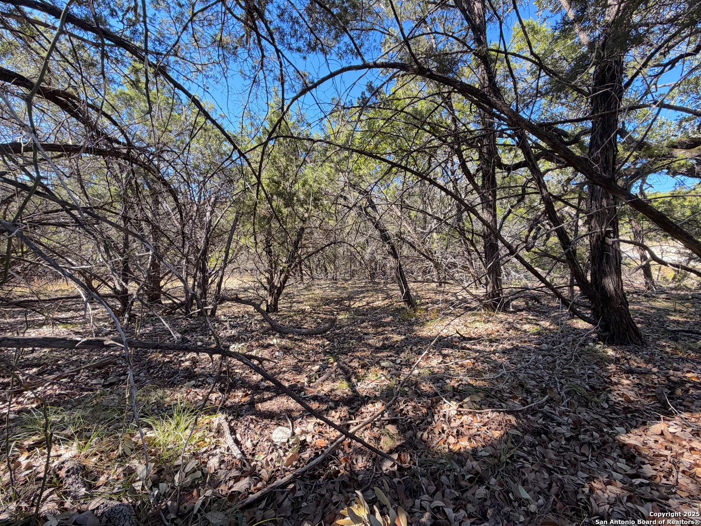 main property photo 15