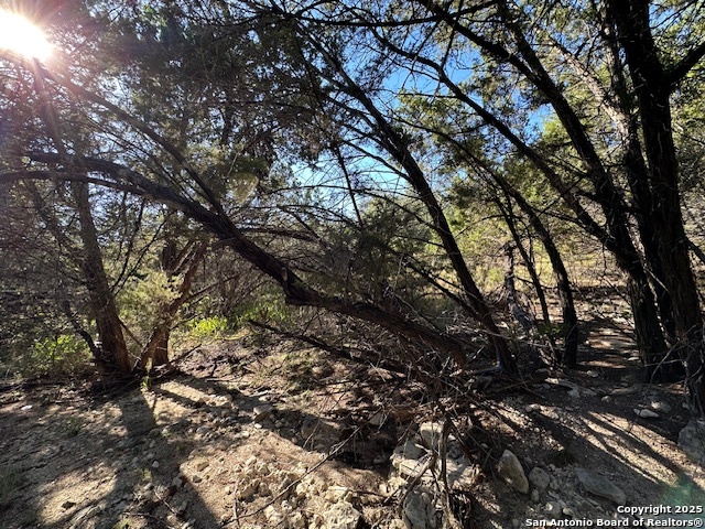 main property photo 25