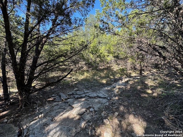 main property photo 26