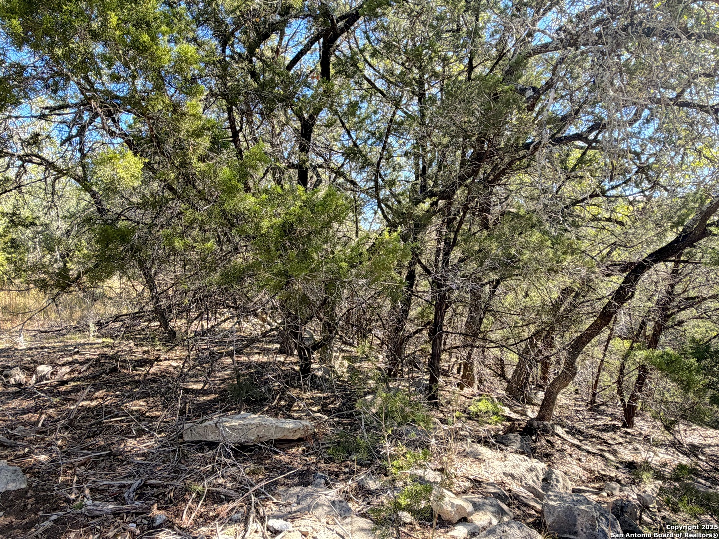main property photo 8