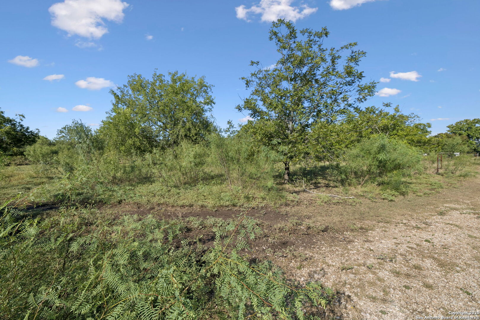 main property photo 32