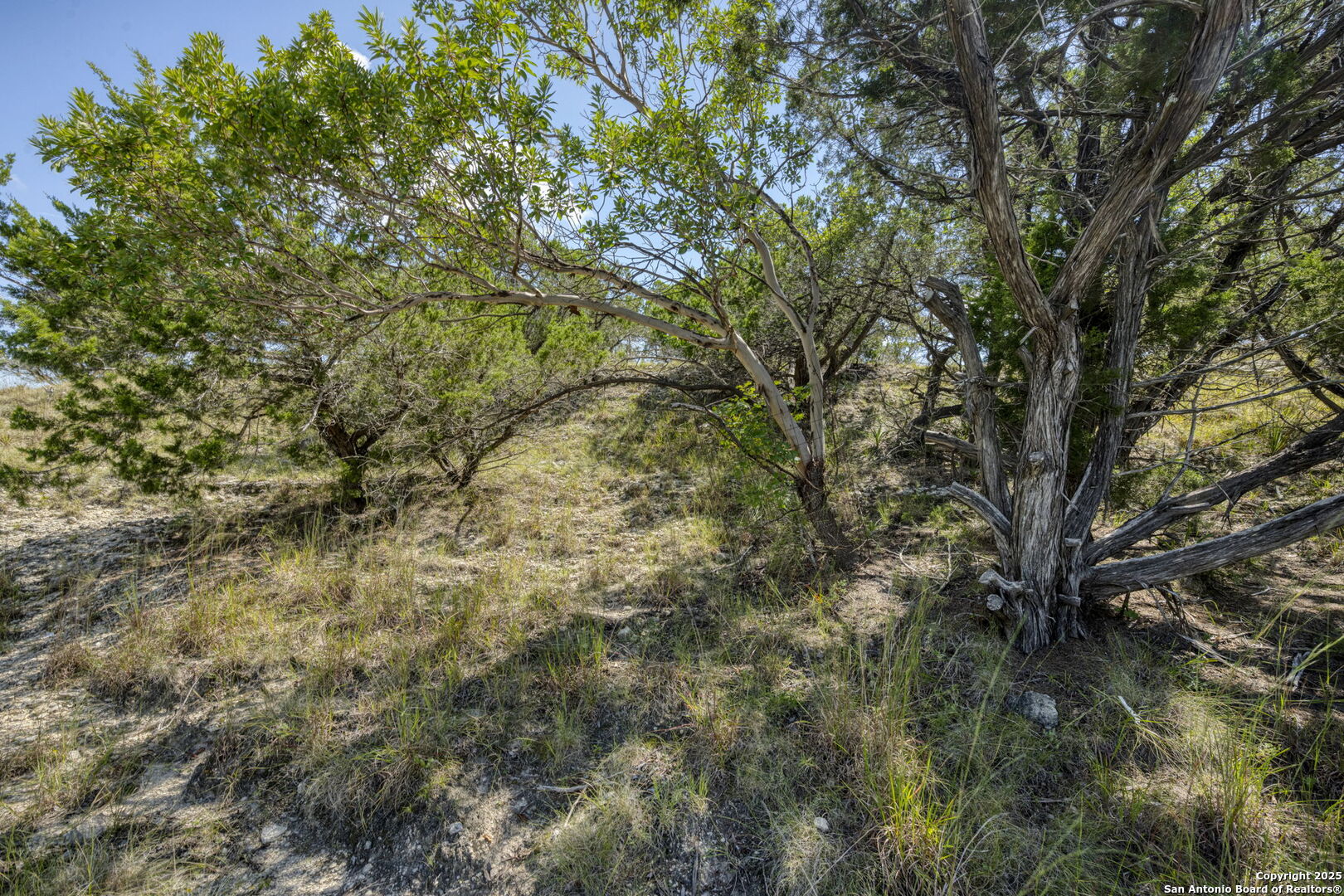 main property photo 52
