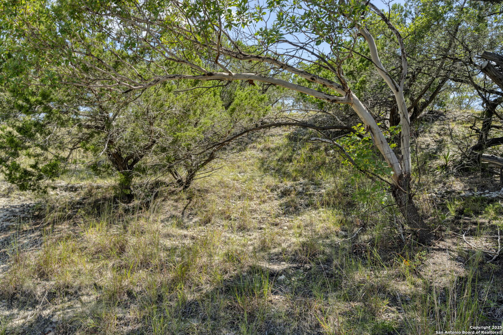 main property photo 53