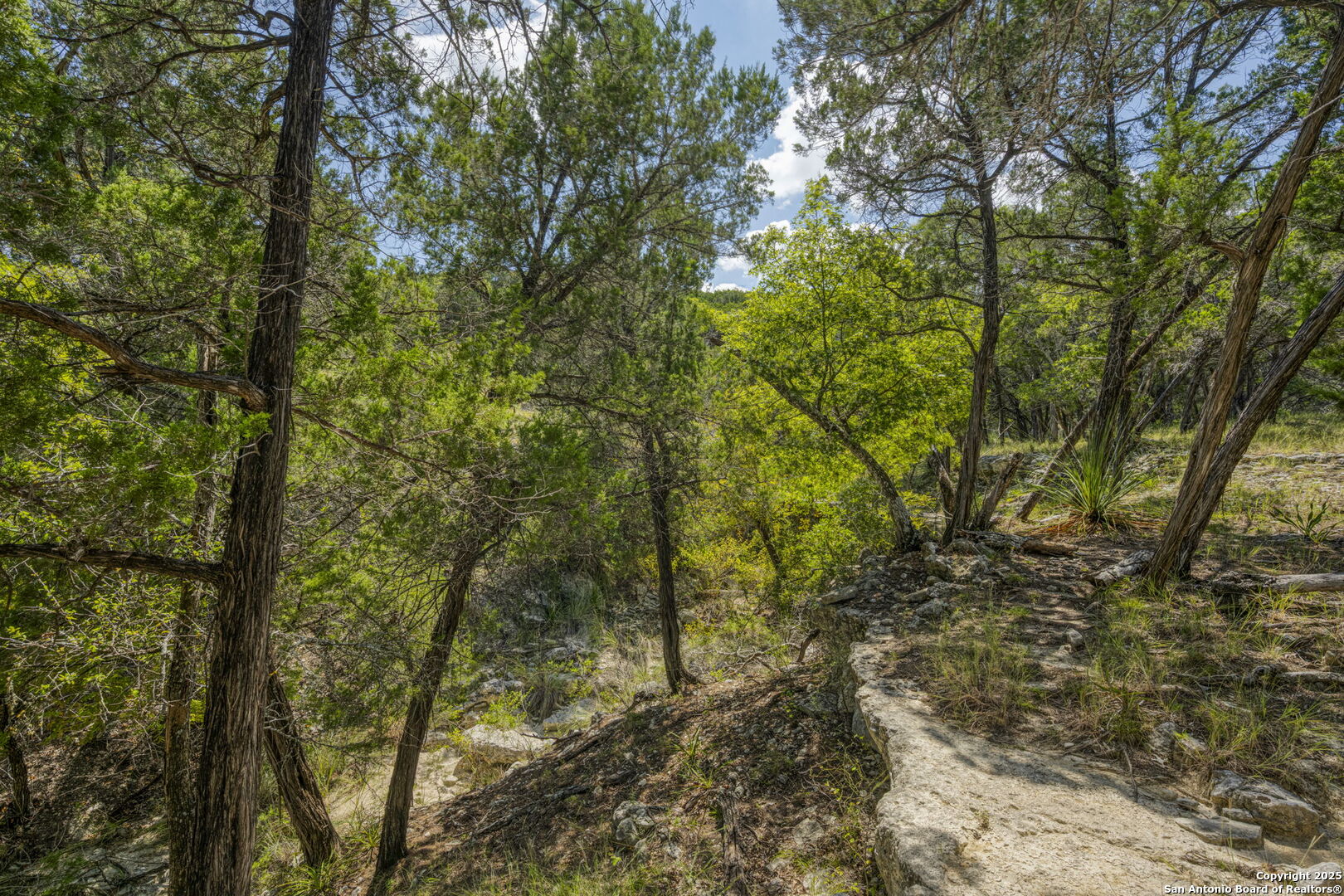 main property photo 55